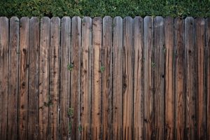 fence-free-pexels