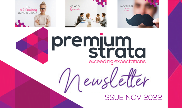 November 2022 Newsletter