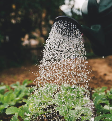 Rain Water Tanks and your Strata Scheme