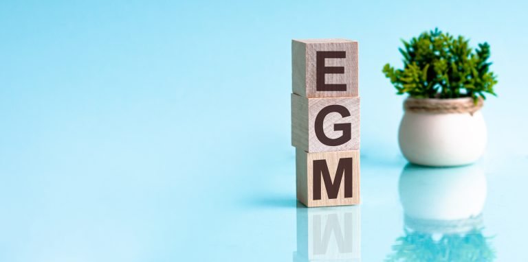 More on EGMs – NSW Q&A: Who Sets the Agenda, Explanatory Notes, Plus a Sample Motion